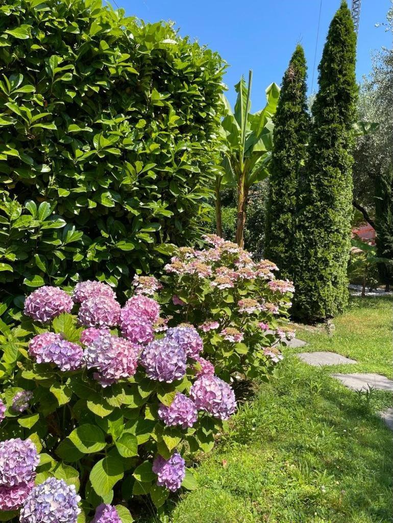 Appartamento La Perla Torri Del Benaco Εξωτερικό φωτογραφία